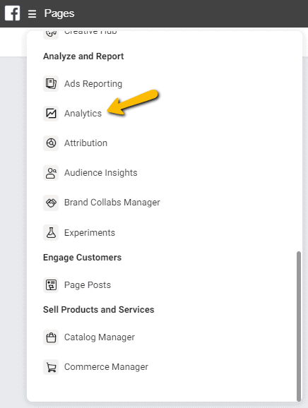 Faceboook Analytics via Business Manager