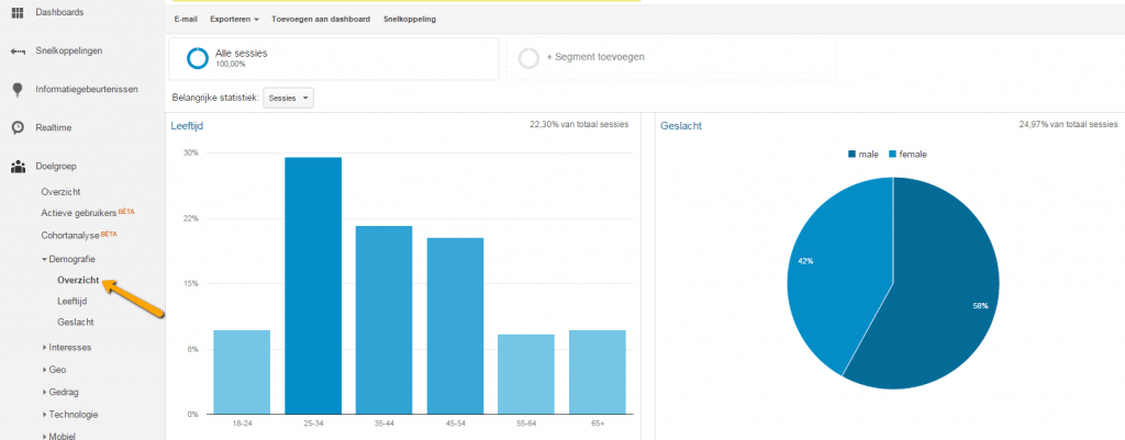 Google Analytics demografie