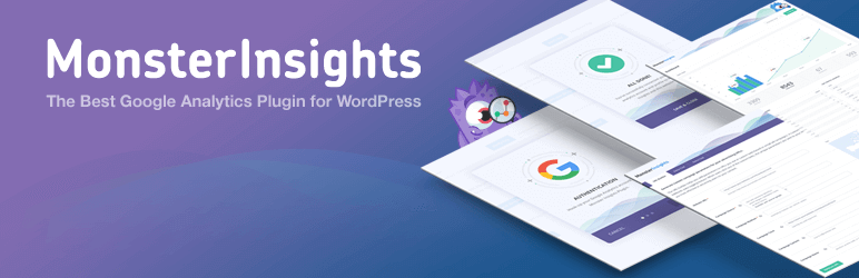 Google Analytics monsterinsights
