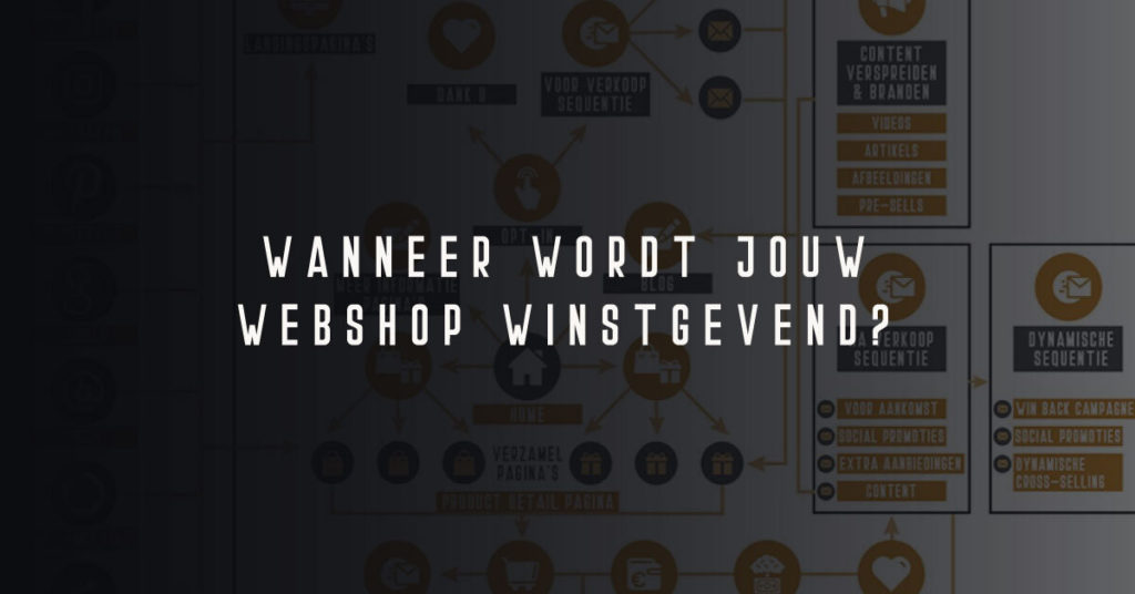 webshop winstgevend maken