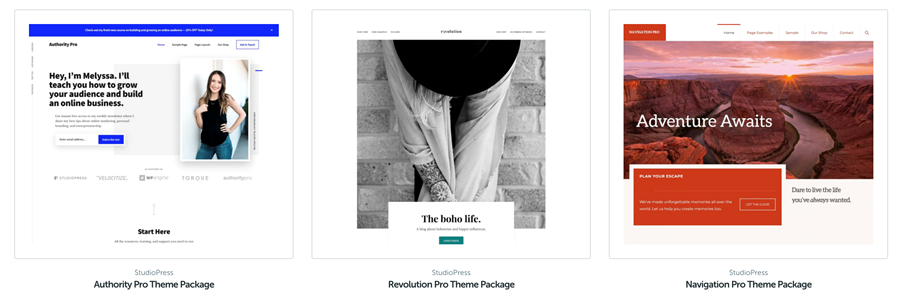 woocommerce theme